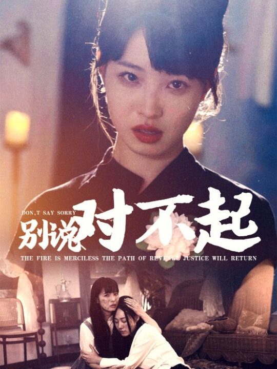 12693-别说对不起(35集)