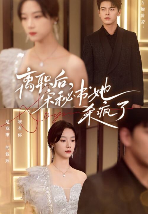 12825-离职后-宋秘书她杀疯了(71集)佐铭