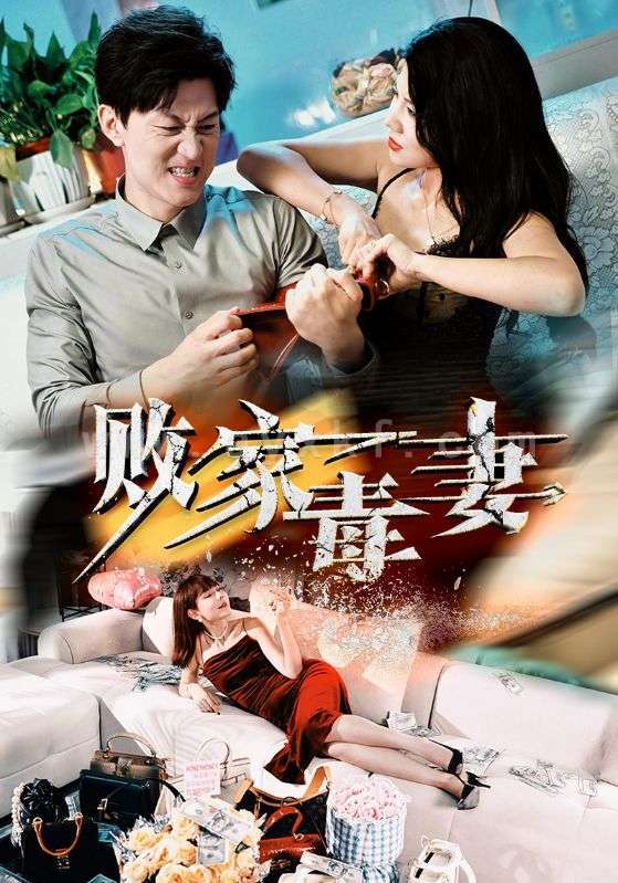 13221-败家毒妻(32集)汪天予 最新 图1张