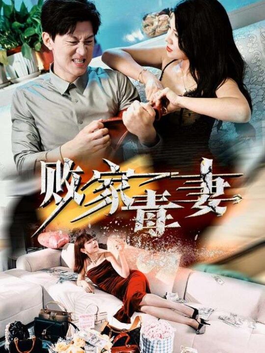 13221-败家毒妻(32集)汪天予