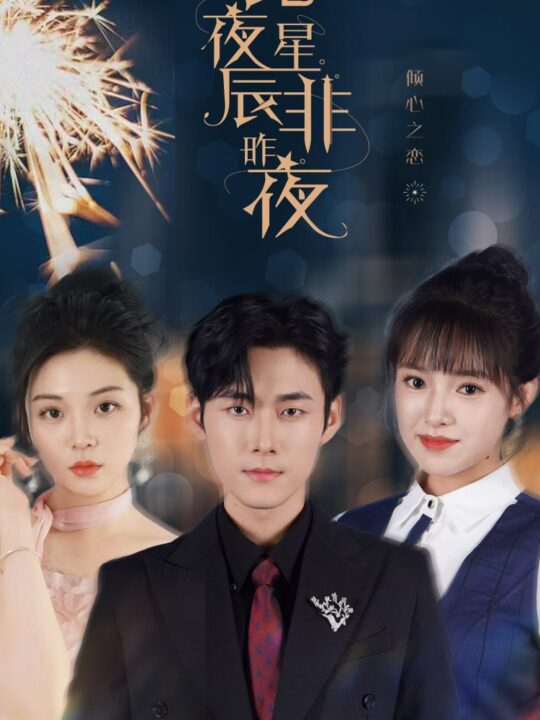 13376-此夜星辰非昨夜(77集)