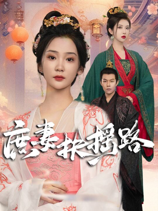 12882-庶妻扶摇路(61集)