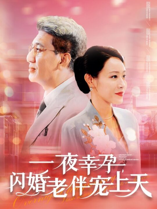 12687-一夜幸孕-闪婚老伴宠上天(79集)