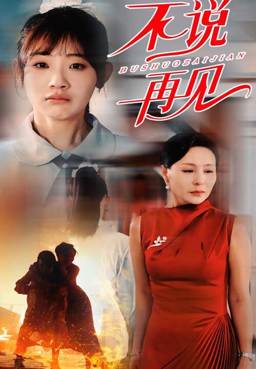 12865-不说再见(31集)