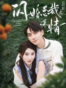 13118-闪婚总裁太深情(93集)