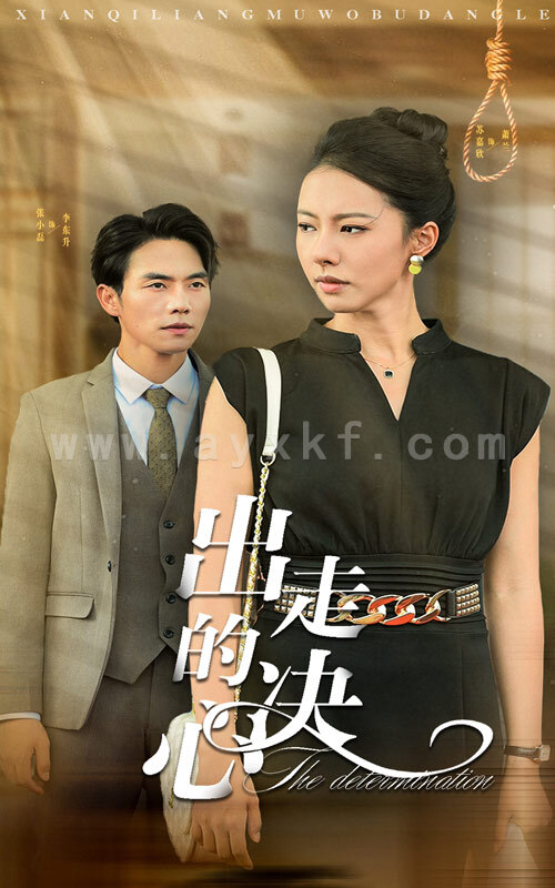 13178-出走的决心(29集) 最新 图1张