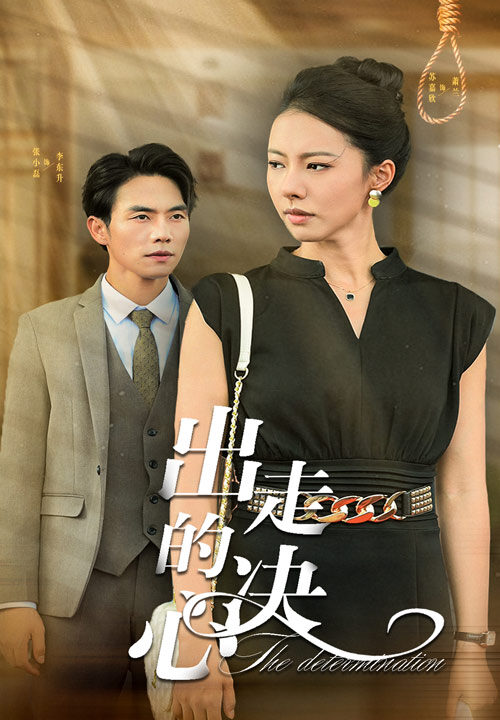 13178-出走的决心(29集)