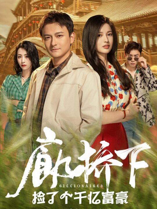 13198-廊桥下捡了个千亿富豪(80集)