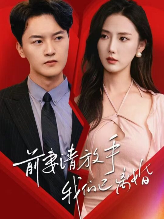 12996-前妻请放手-我们已离婚(86集)插边剧