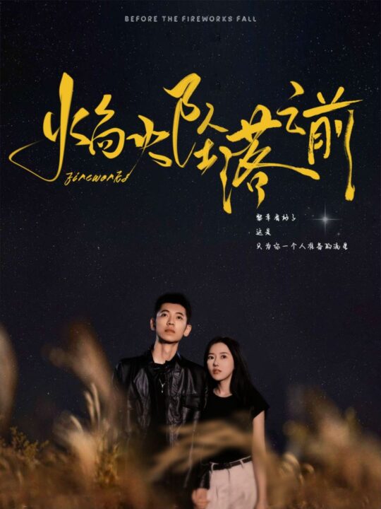 13204-焰火坠落之前(99集)辛润茜