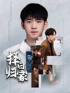 13190-择日归家(60集)