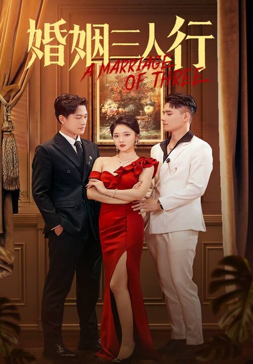13379-婚姻三人行(31集)