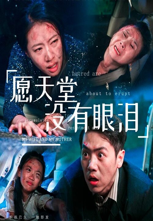 12864-愿天堂没有眼泪(70集)