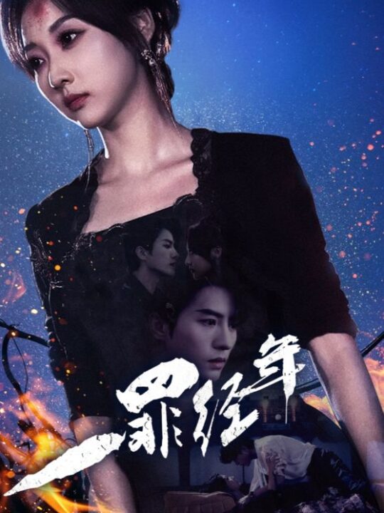 13148-一罪经年(77集)陈云廷＆李若琪