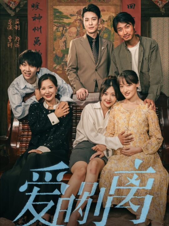 12890-爱的别离(78集)