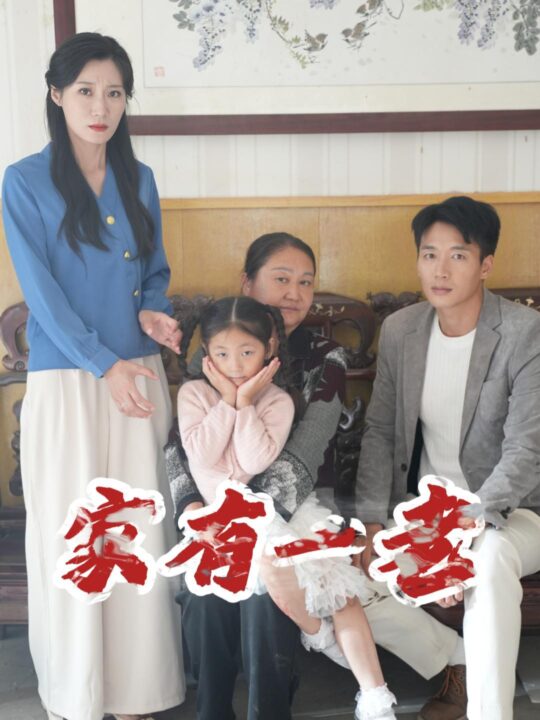 13423-家有一老(32集)