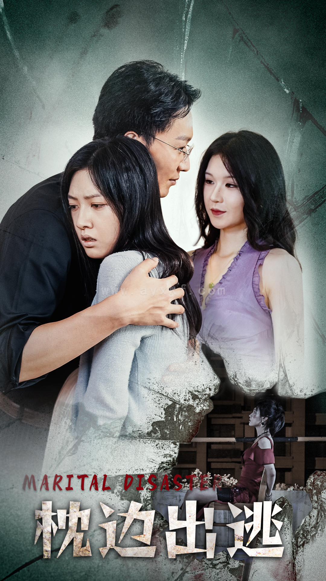 12895-枕边出逃(31集) 最新 图1张