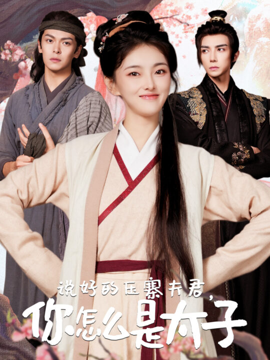 12714-说好的压寨夫君-你怎么是太子(65集)