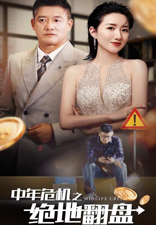 13039-中年危机之绝地翻盘(33集)