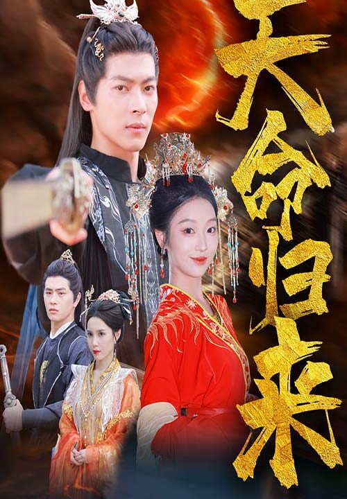 13431-天命归来(60集)董一