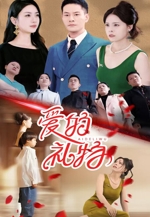 13193-爱的礼物(25集)