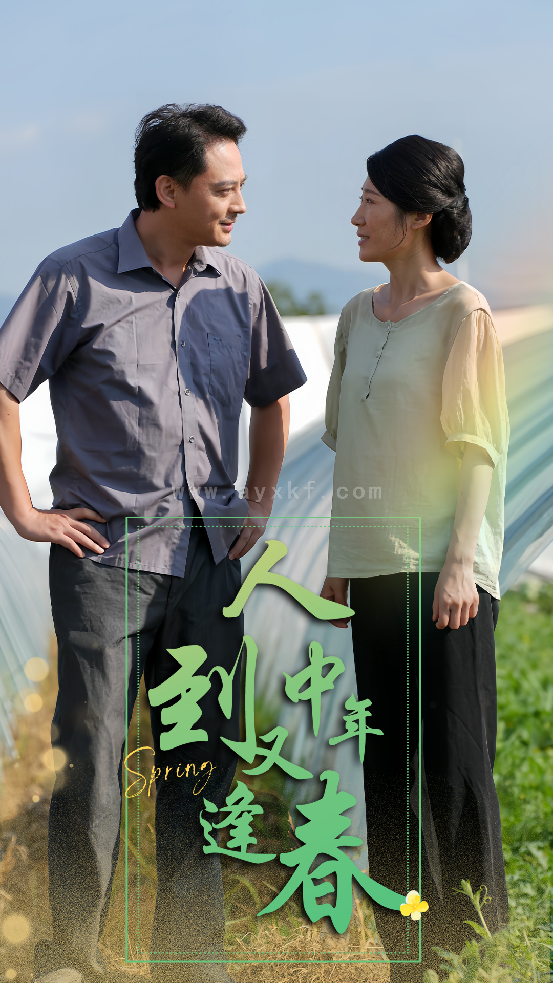 13013-人到中年又逢春(61集) 最新 图1张