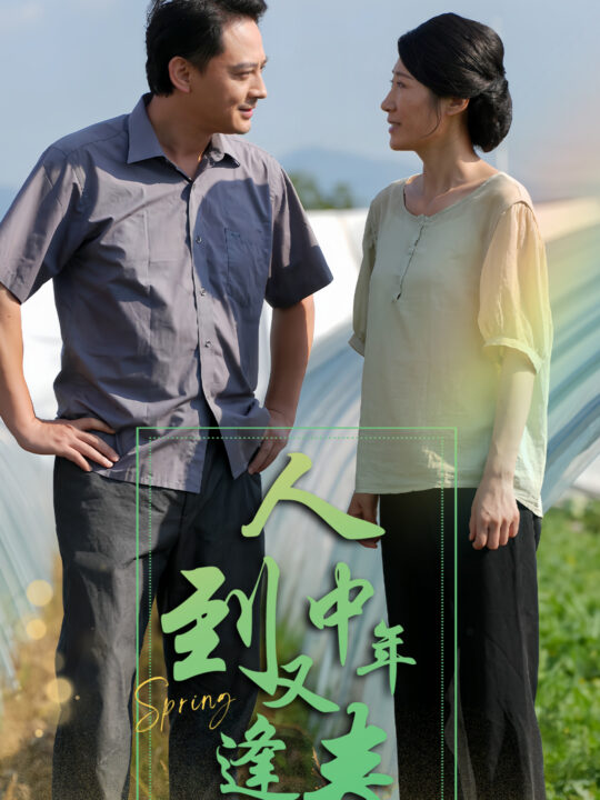13013-人到中年又逢春(61集)