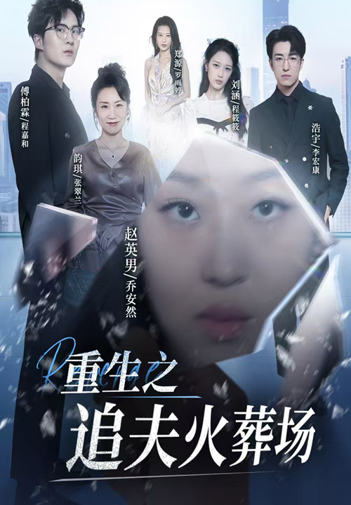 13241-重生之追夫火葬场(35集)