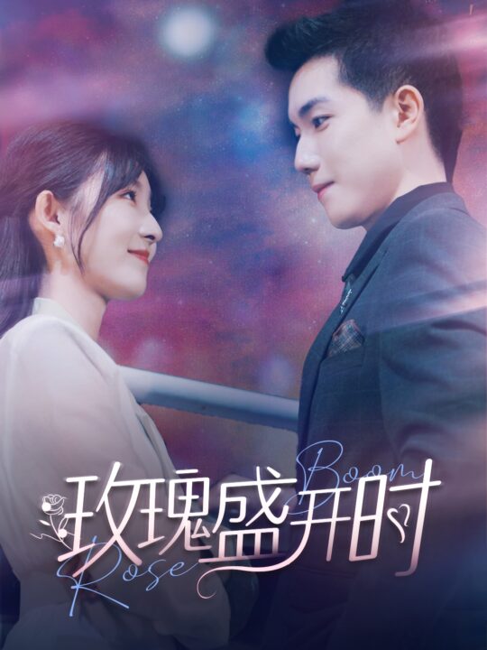 11479-玫瑰盛开时(81集)