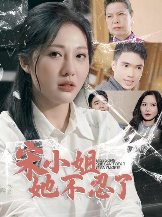 12136-宋小姐她不忍了(18集)