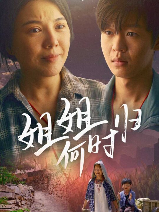 12122-姐姐何时归(60集)