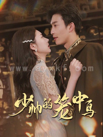 11550-少帅的笼中鸟(70集)姚冠宇