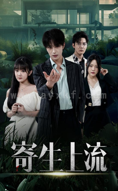 11610-寄生上流(40集)