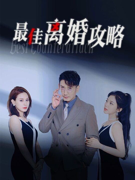 12356-最佳离婚攻略(31集)