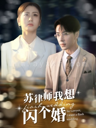 11449-苏律师我想闪个婚$苏大律的社畜女友(95集)