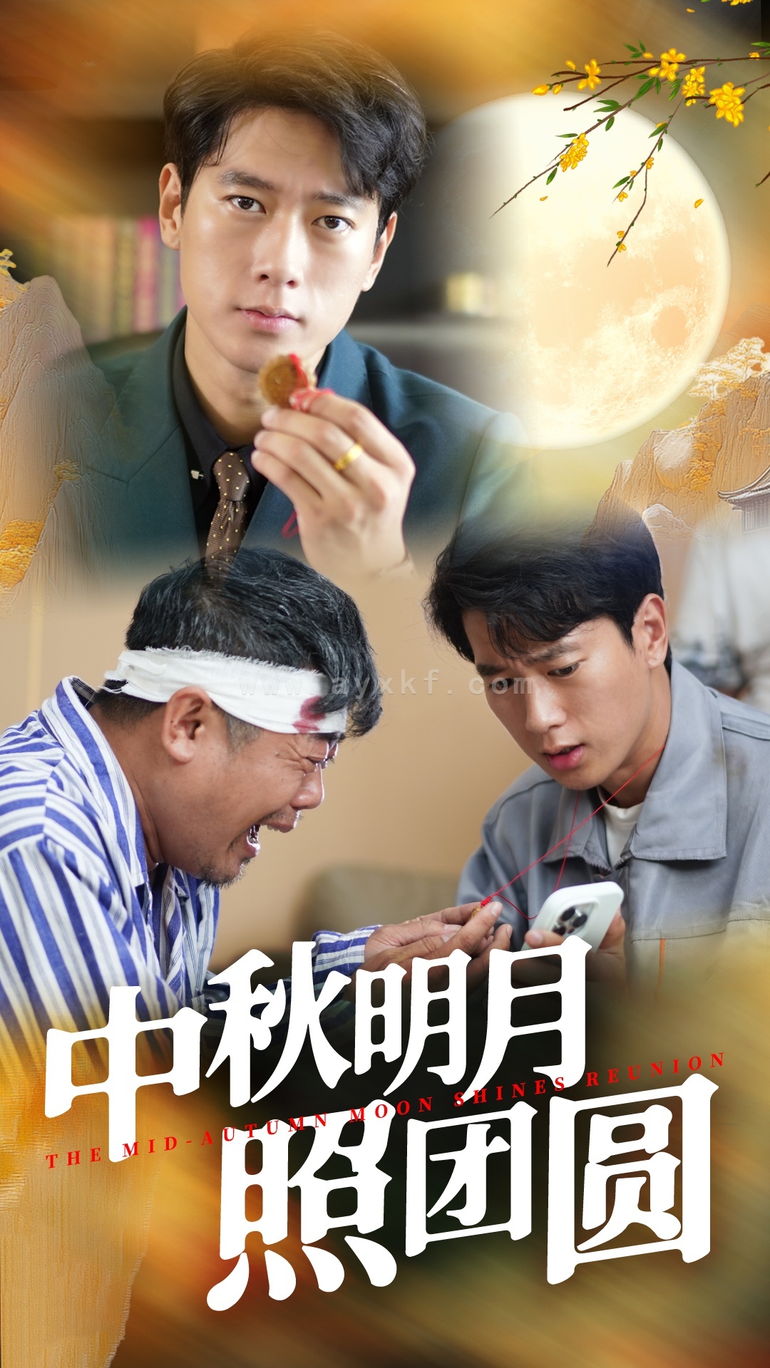 12243-中秋明月照团圆(52集)王小野 最新 图1张