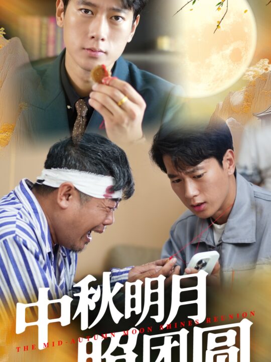 12243-中秋明月照团圆(52集)王小野