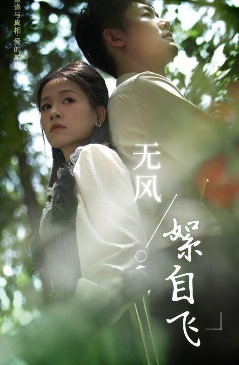 12103-无风絮自飞(36集)