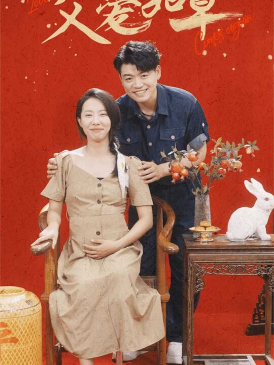 11896-父爱如草(31集)