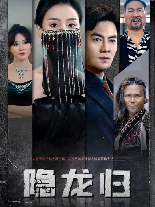 12429-隐龙归(80集)