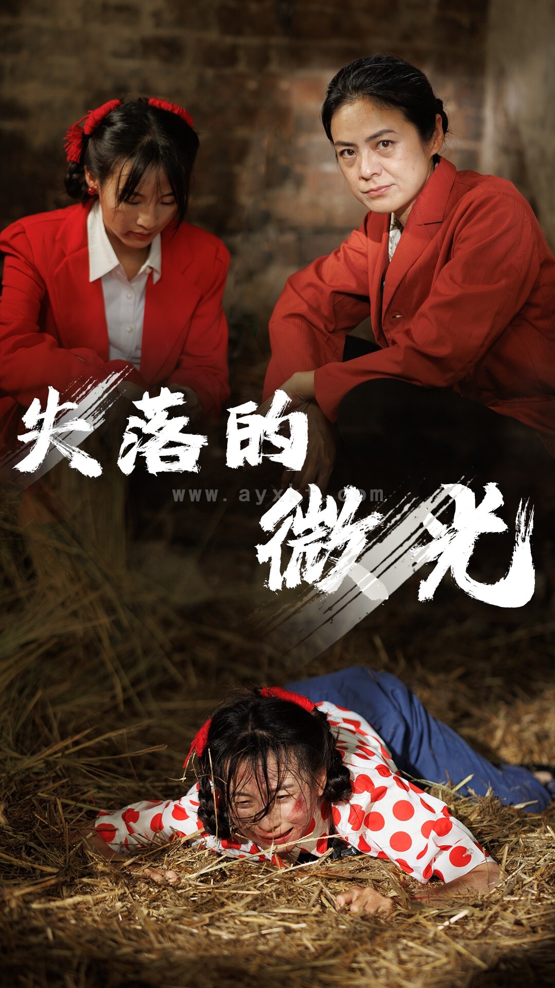 12010-失落的微光(60集) 最新 图1张