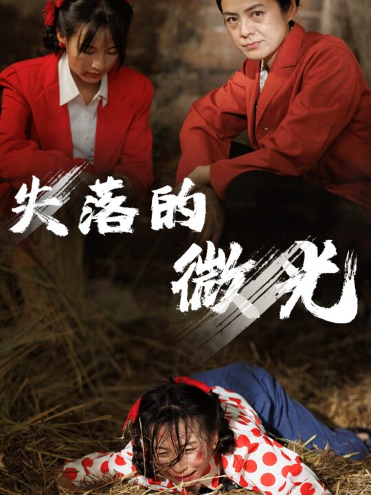 12010-失落的微光(60集)