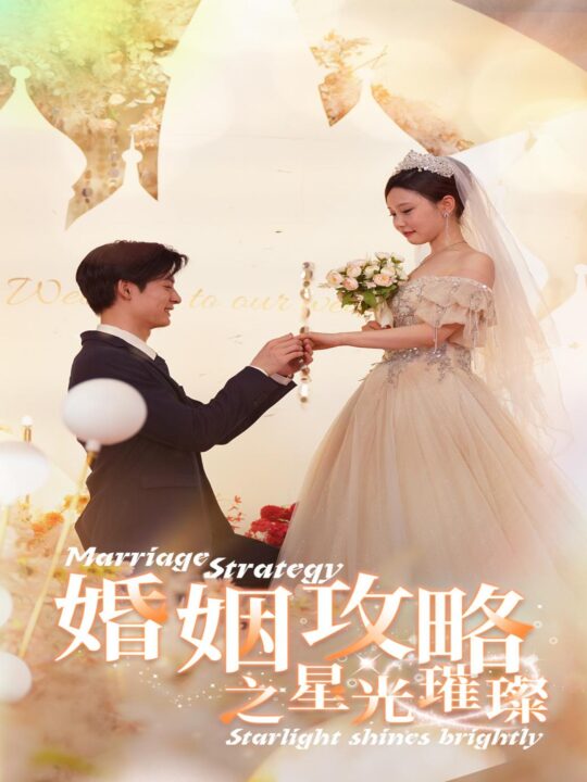 11839-婚姻攻略之星光璀璨(32集)