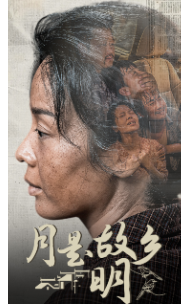 11646-月是故乡明(42集) 内容图1 一个实时收录全网最齐全的短视频短剧网剧小剧场的网站! 11646-月是故乡明(42集) 最新 图1张