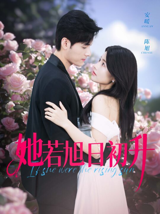 11776-她若旭日初升(40集)