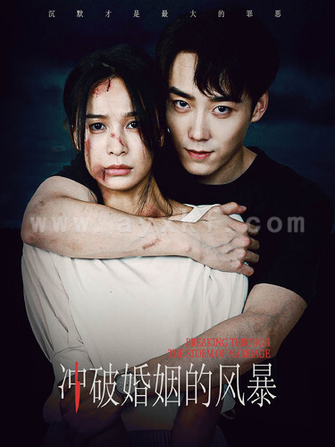 11753-冲破婚姻的风暴(29集)