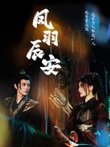 12378-凤羽辰安(100集)