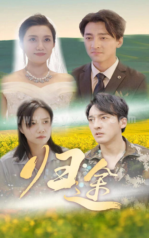 11732-归途(52集) 内容图1 一个实时收录全网最齐全的短视频短剧网剧小剧场的网站! 11732-归途(52集) 最新 图1张