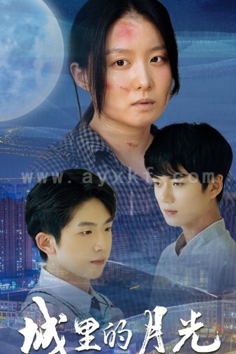 12321-城里的月光(46集)