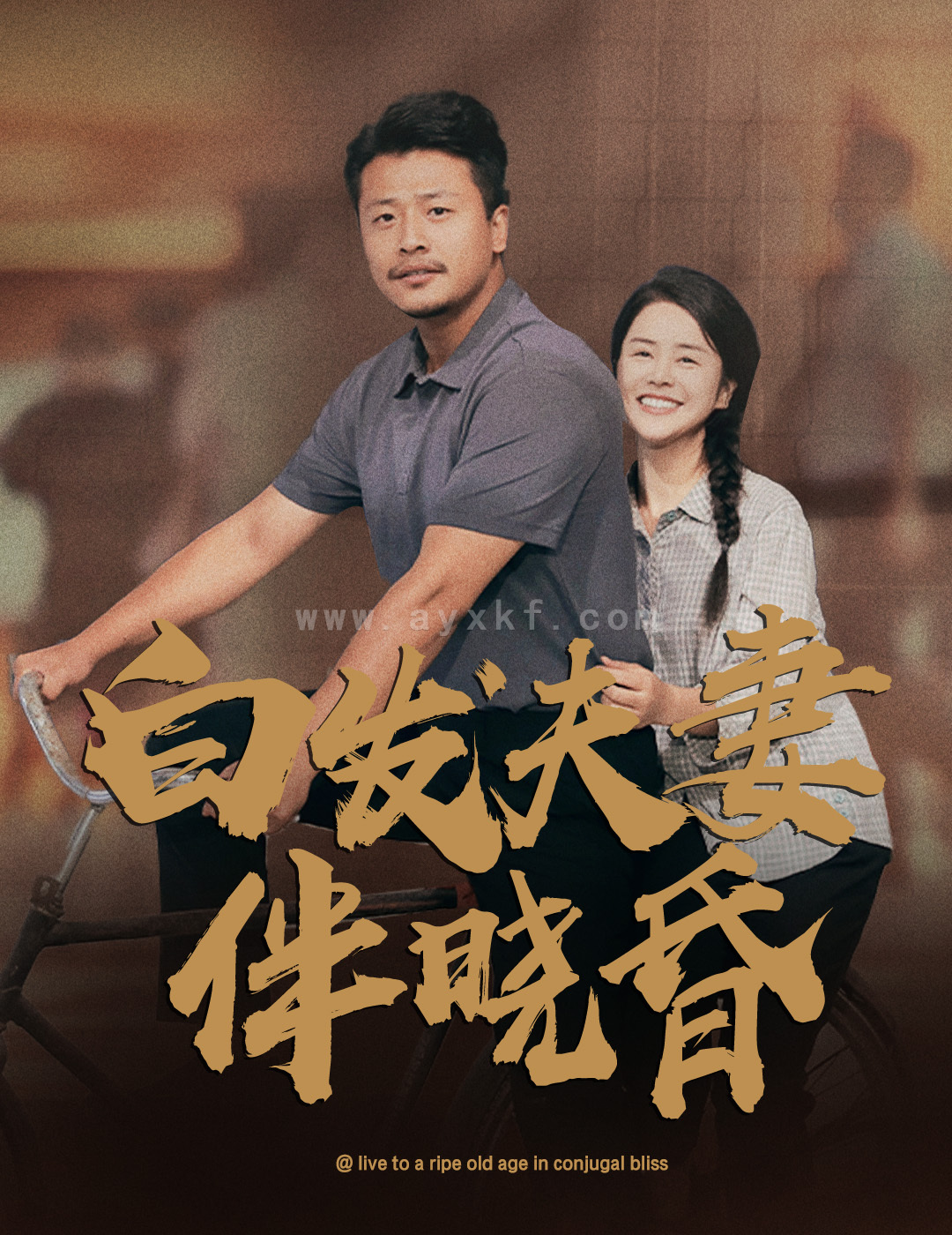 12166-白发夫妻傍晓昏(61集) 最新 图1张